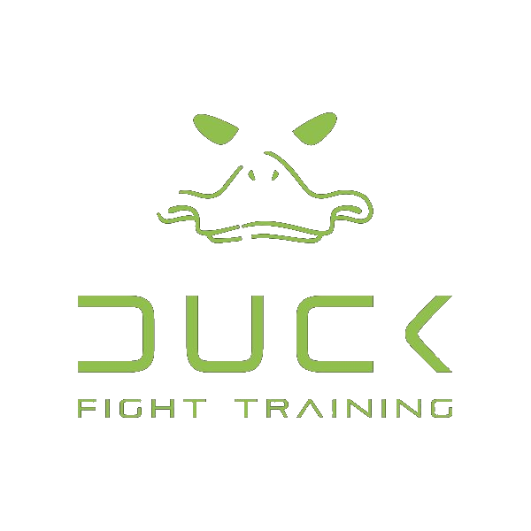 duck-figth-logo