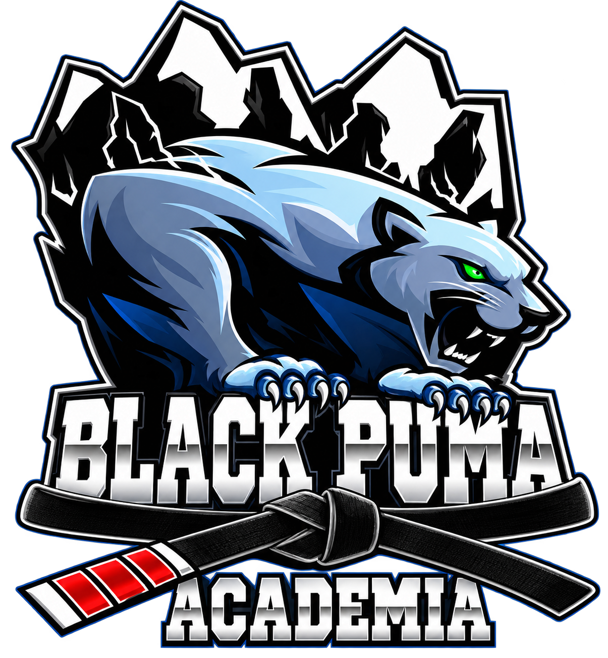 Black-Puma-academia